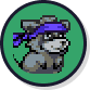 Raccoon